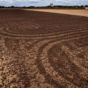 WhatsApp Image 2023-10-02 at 13.39.34 (1)