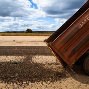 WhatsApp Image 2023-10-02 at 13.39.35 (1)