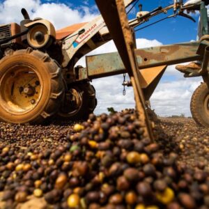 WhatsApp Image 2023-10-02 at 13.39.35