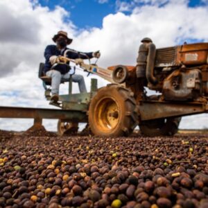 WhatsApp Image 2023-10-02 at 13.39.38 (1)