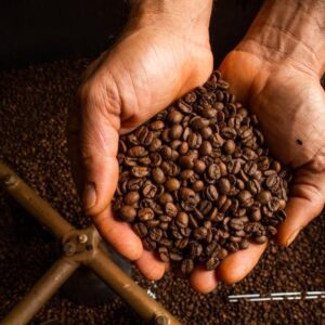 WhatsApp Image 2023-10-02 at 13.39.38