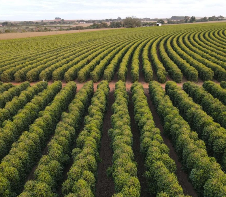 WhatsApp Image 2023-10-02 at 18.42.01