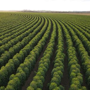 WhatsApp Image 2023-10-02 at 18.42.02