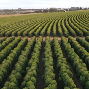 WhatsApp_Image_2023-10-02_at_18.42.01-transformed